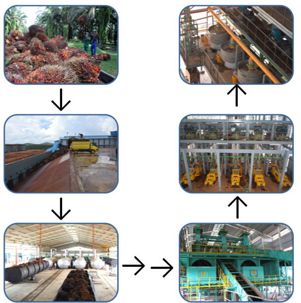Palm Oil Mill Plant  2