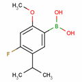 Boronic acid, [4-fluoro-2-methoxy-5-(1-methylethyl)phenyl]-