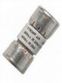 Low voltage Branch circuit rated fuse