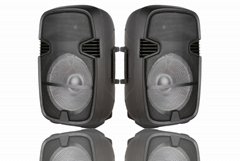 IRRICO Single Speakfriends OEM Plastic Speaker Box 15inch Enclosure