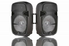 IRRICO Pro audio woofer 15inch sub woofer speaker 