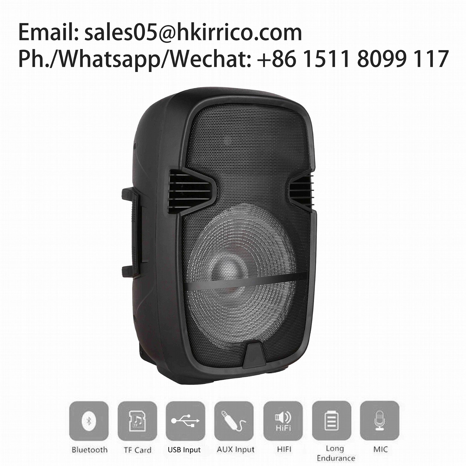 IRRICO 15inches Accuracy Pro Audio karaoke pa speaker