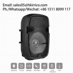 IRRICO Full-range Audio Passive 15Inch Speaker For club with excellent 