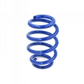 compression lowering springs for all car models 1