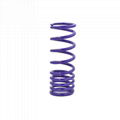 compression lowering springs for all car models 3