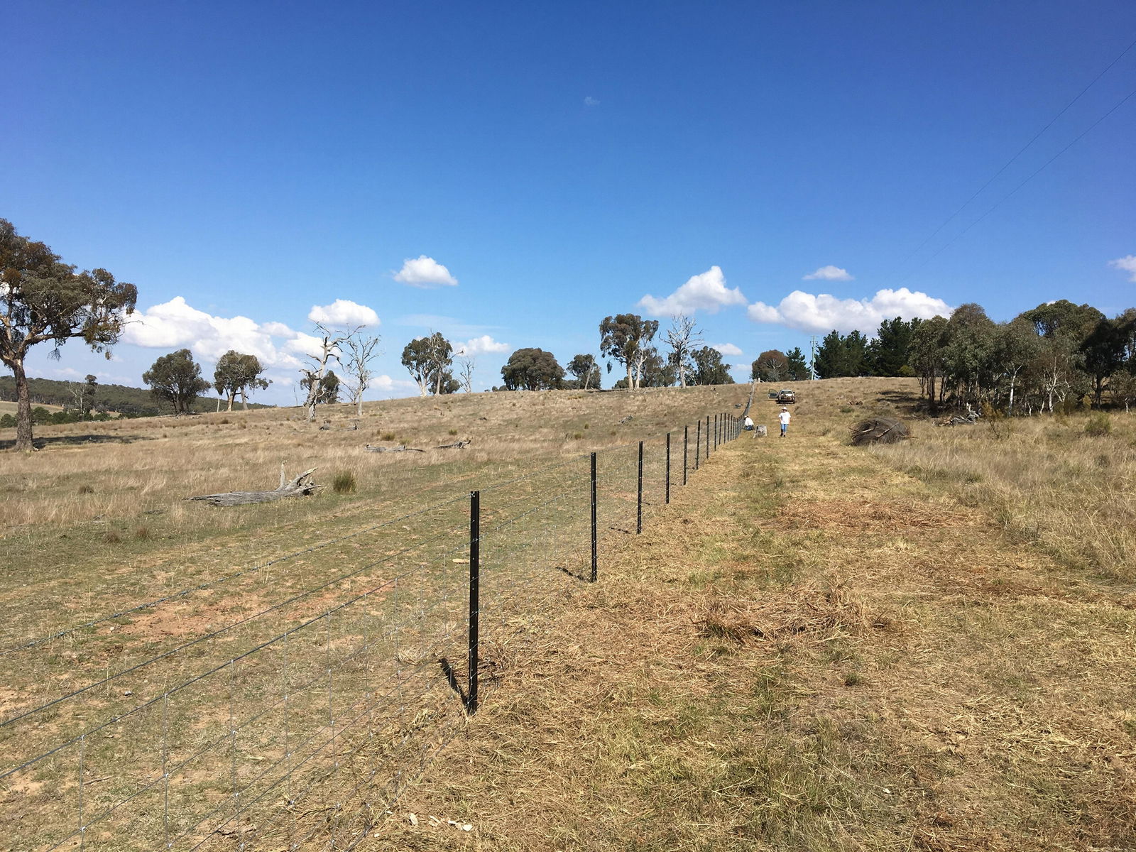 HINGE JOINT FENCING WIRE MESH SHEEP GOAT CATTLE RURAL FARM GALVANISED FENCE 4