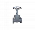 API FLANGE CAST STEEL GATE VALVE