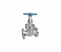 DIN FLANGE STAINLESS STEEL GATE VALVE 1