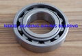 cylindrical roller bearing