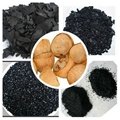 Coconut shell charcoal 1