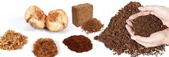 Vietnam Coco peat