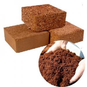 Coco peat for plant