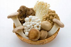 Canned straw mushrooms