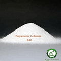 Polyanionic Cellulose PAC     V