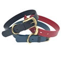 Waterproof TPU Coated Nylon Printing Leather Dog Collar with Logo