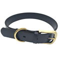 Waterproof TPU Coated Nylon Printing Leather Dog Collar with Logo 4