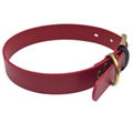 Waterproof TPU Coated Nylon Printing Leather Dog Collar with Logo 5