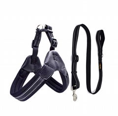 Nylon dog leash