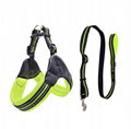 Nylon dog leash