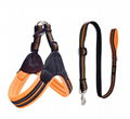 Nylon dog leash 4