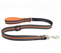 Nylon dog leash 5