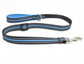 Nylon dog leash