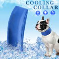 Dog cooling collar