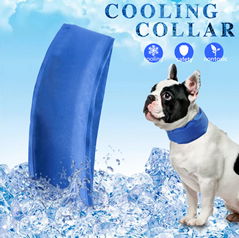 Dog cooling collar