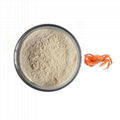 Feed Chitosan Oligosaccharide For