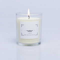 Candle vendors Personalized packaging and label Scented glass candle with luxury