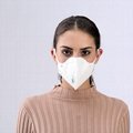 Dust Mask Half Respirator with Particulate Filter