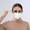 Niosh Approved Best Respirator Hepa Dust Mask 5