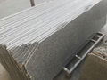 G603 Natural Stone Granite Slab 1