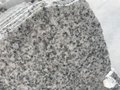 G603 Natural Stone Granite Slab 3