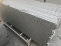 G603 Natural Stone Granite Slab 4