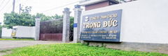 Ca Cao Trong Duc