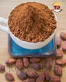 Pure Cocoa Powder 1