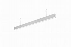 Suspended linear light LS3567-PZ