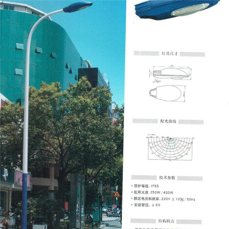 6米30瓦河南路燈  河南省節能路燈廠家 3