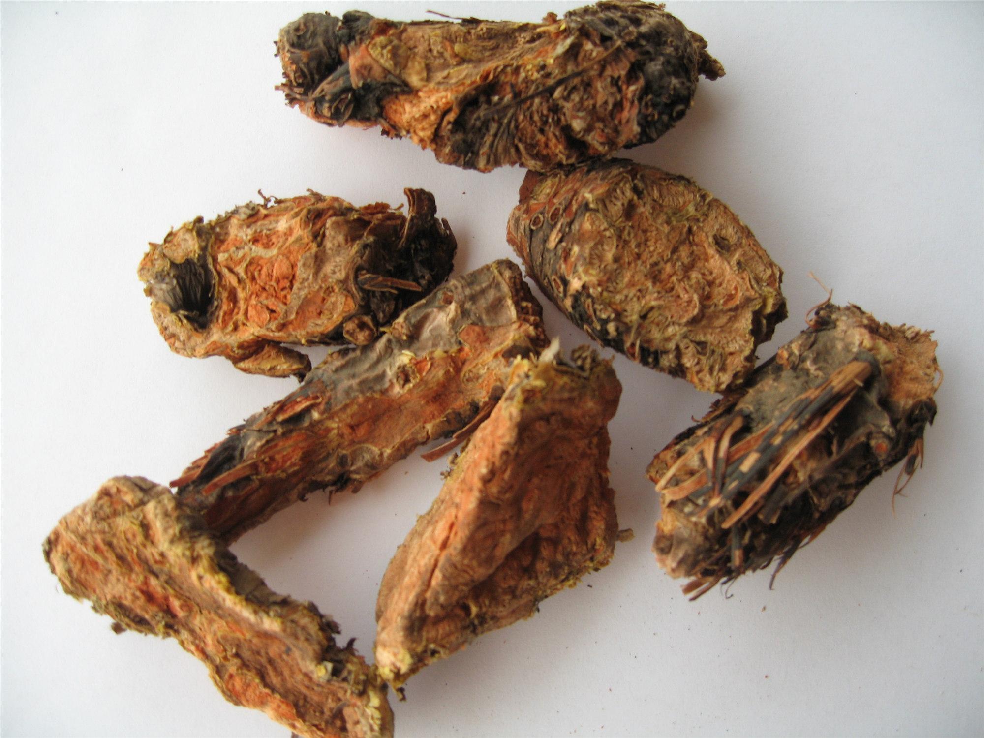 红景天片和茶碎颗粒 3