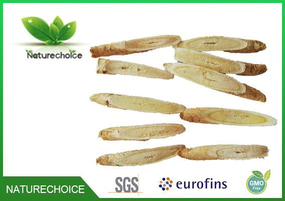 Astragalus root slice