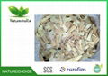 Astragalus root slice