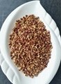 Organic Dried Jujube /Chinese Red date /Fructus  JujubaeTBC 1