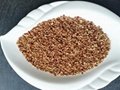 Organic Dried Jujube /Chinese Red date /Fructus  JujubaeTBC 2