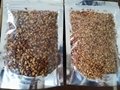 Organic Dried Jujube /Chinese Red date /Fructus  JujubaeTBC 4