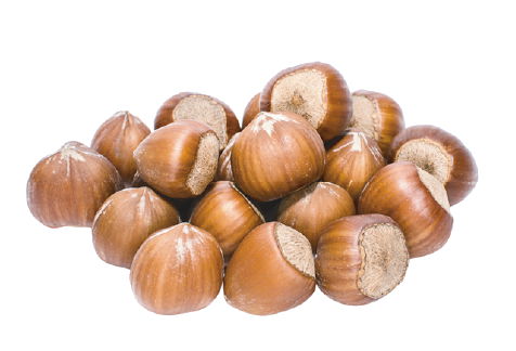 Hazelnut Raw without shell with skin 3