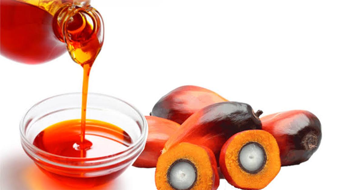 CRUDE PALM OIL 2