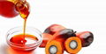 CRUDE PALM OIL 2