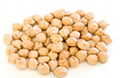 Roasted Salted Chickpeas 1