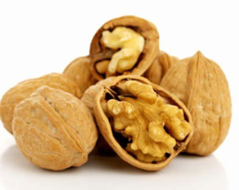 Organic Raw Walnuts in Shell Walnut Kernels